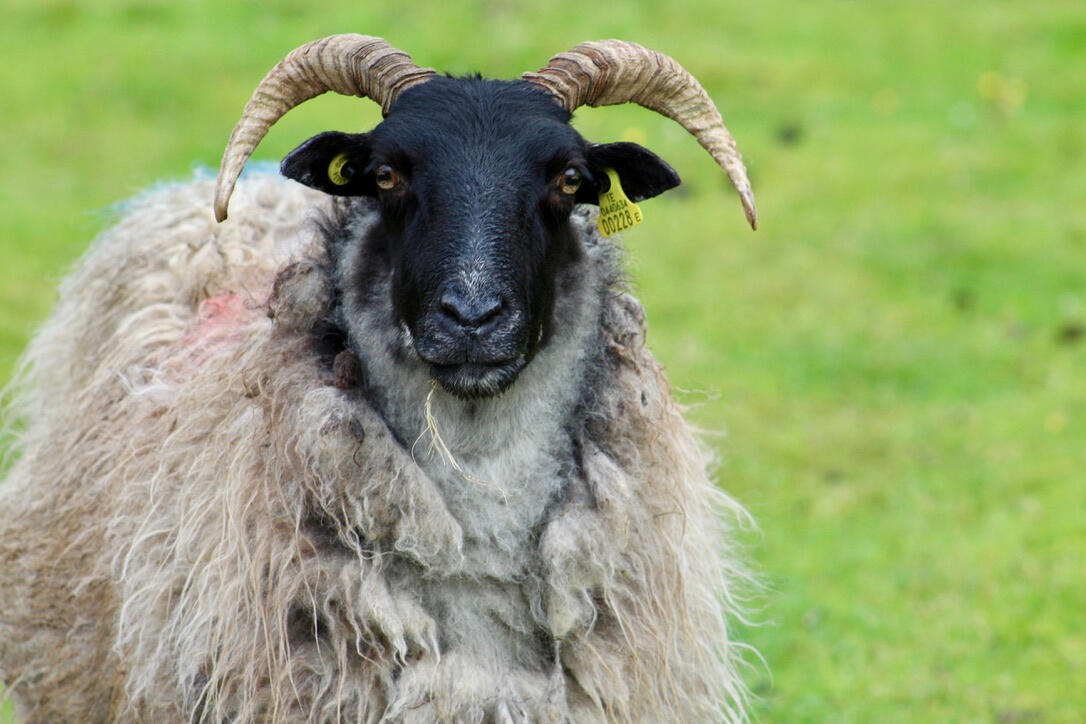Gleniff horseshoe - Sligo